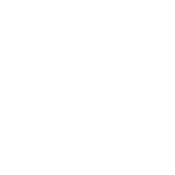 XAVIER SPALLA CONSULTORIA ESPECIALIZADA E ASSESSORIA logo