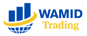 Desert Waves General Trading logo