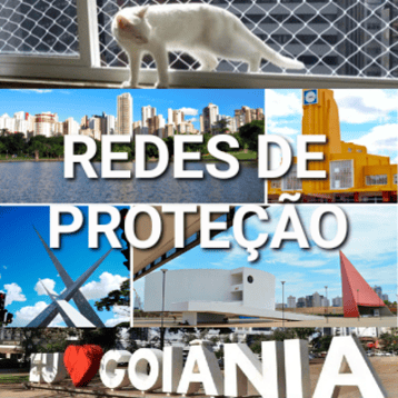 (62) 99904-8087 Rede, Redinhas de Proteção instalada em Janelas de Goiânia - Goiás. Orçamento Grátis! (62) 99904-8087 logo