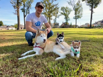 Dr. Meyers siberian huskies