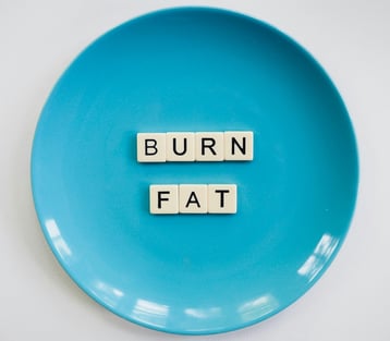 fat burning diet, meal plan pdf, weight loss meal plan online