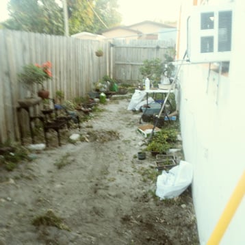Bonsai Garden Before