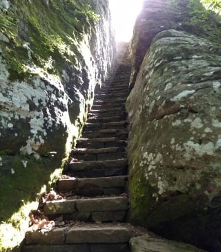 Worn stairs on a trail in a National Forest.