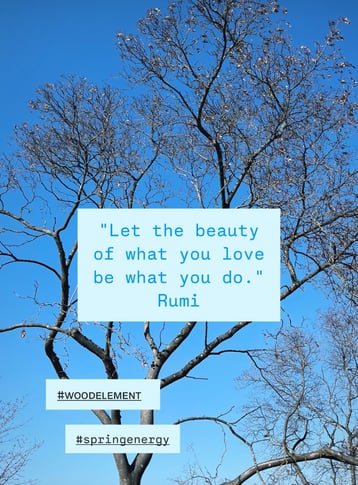 do what you love