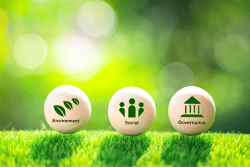three eggshells with different symbols of environmental protection