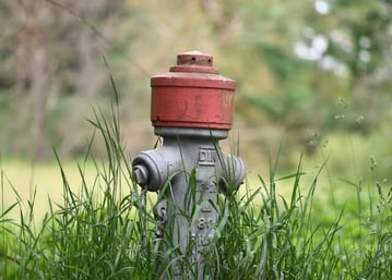 Orange well cap in tall grass