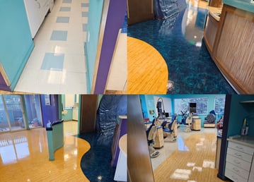 Deep carpet cleaning to remove dirt, stains, and hidden contaminants