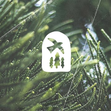 Identité visuelle Maison d'hôtes