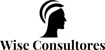 Wise Consultores logo