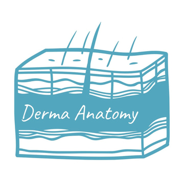 Derma Anatomy logo