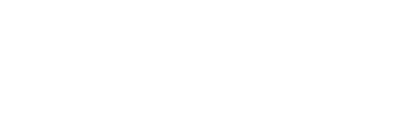 nexamind logo