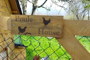 panneau bois poulailler 'poule house'