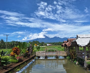 Warung tepi sawah Suco