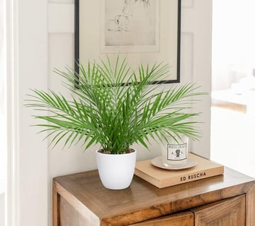 Planta Artificial de 40,6 cm en Maceta, decoración Moderna de Palmera Artificial, Plantas Artificial