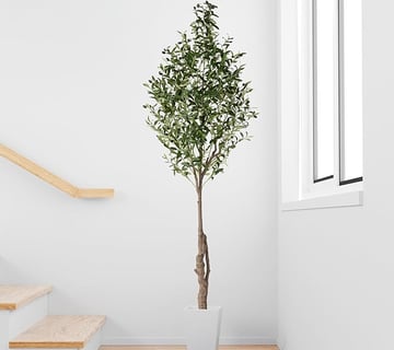 2 olivos artificiales (210 cm), elegantes y realistas, plantas artificiales grandes, plantas artific