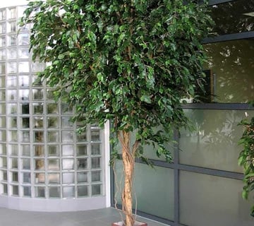 Gran Ficus Artificial RAMZO, 6600 Hojas, Verde, 315cm - árbol XXL - Planta Textil