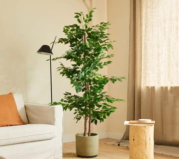 BLAINE Planta Artificial con Productos Naturales, Elaborados con los Mejores Materiales, Ideal para 