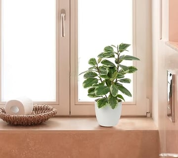 Plantas Artificiales de 22 cm en macetas para la decoración del hogar Planta de Interior de Camelia 