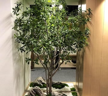 Árbol de Seda de Olivo Falso Grande y Alto, Olivo Artificial, Ramas de Olivo Artificiales, árbol Art