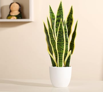 Plantas Artificiales Decorativas 40cm Sansevieria Decoración de Plantas Artificiales, Adecuada para 