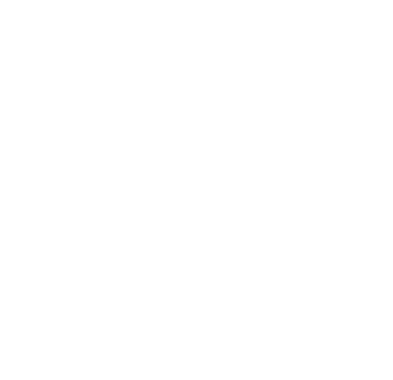 Social_Mind_Inspired_Values