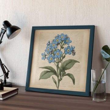 forget me not flower framed