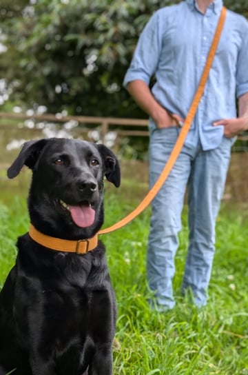 a man with a dog on a leash