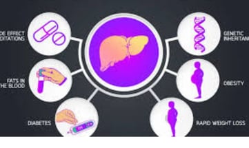 Fructose and Health Relationship with Obesity, Fasting (2)