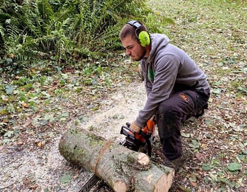 Jardinier professionnel élagage