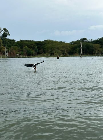 Kenya Prayer Update #2 | Zion Marsters
