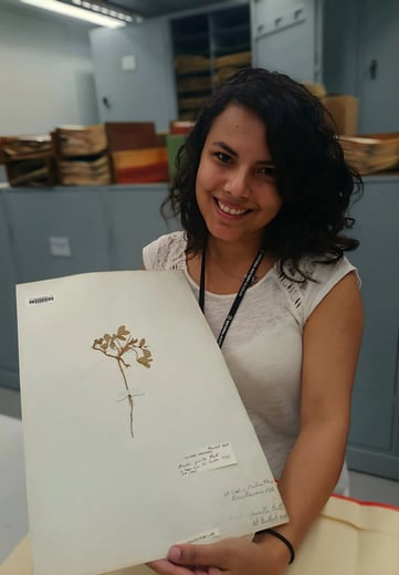 Suzi Santana segurando uma planta prensada, entre ciência botânica e retorno à presença espiritual