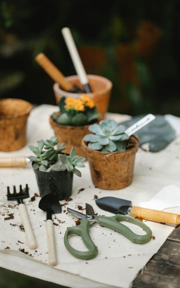 Houseplant pruning shears and tools