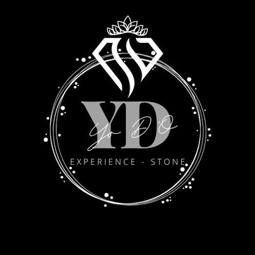 Yo D'O expérience-stone logo