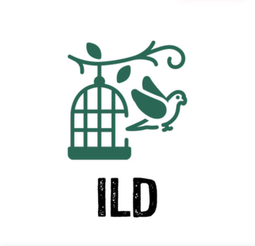 Institut de Lutte contre la Désinformation logo