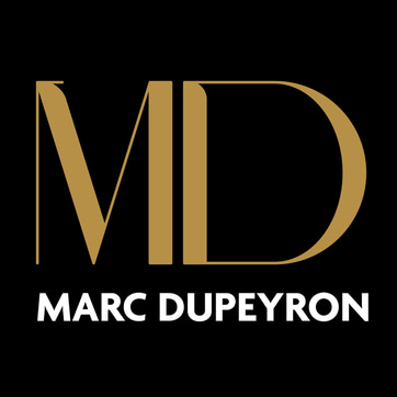 Plume de dirigeants - Conseiller en communication logo