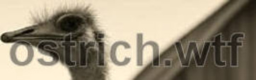 OSTRICH_wtf logo