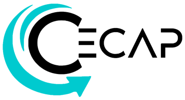 Cecap Consulting logo