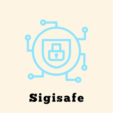 SafeNow Ingeniería en Logística logo