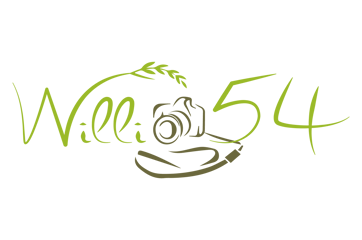 willi54 logo