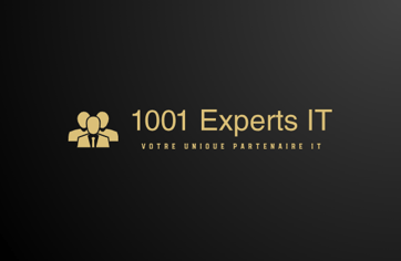 1001 Experts IT logo