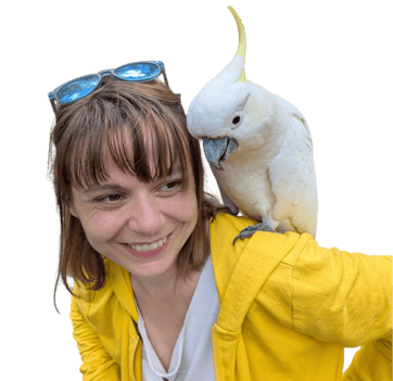 Msmdigital.me digital marketing freelancer email marketing durham chapel hill nc