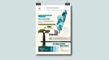 Infographie graphiste Haykantou Madagascar
