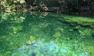 Mexico - cenote, a water filled  sinkhole  found in Cozumel, Playa del Carmen & Tulum