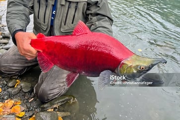 a man holding a fish on a river