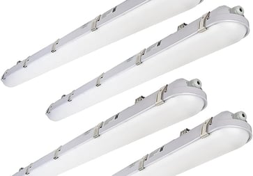 a set of four white fluorescent LED for survival