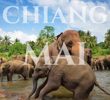 chiang mai thai evasion travel planner thailande