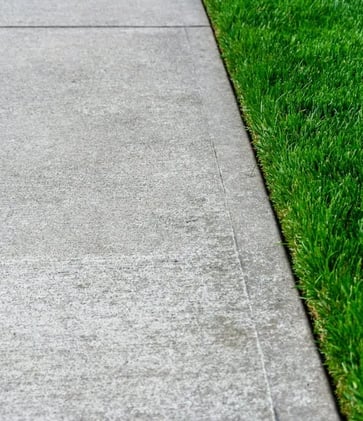 A healthy lawn with a crisp border with the sidewalk