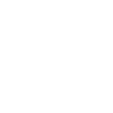 VivaFlex Rehab logo