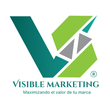 VISIBLE MARKETING logo