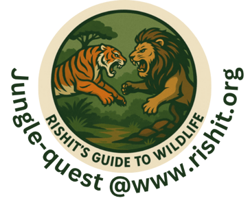 Rishit's guides logo